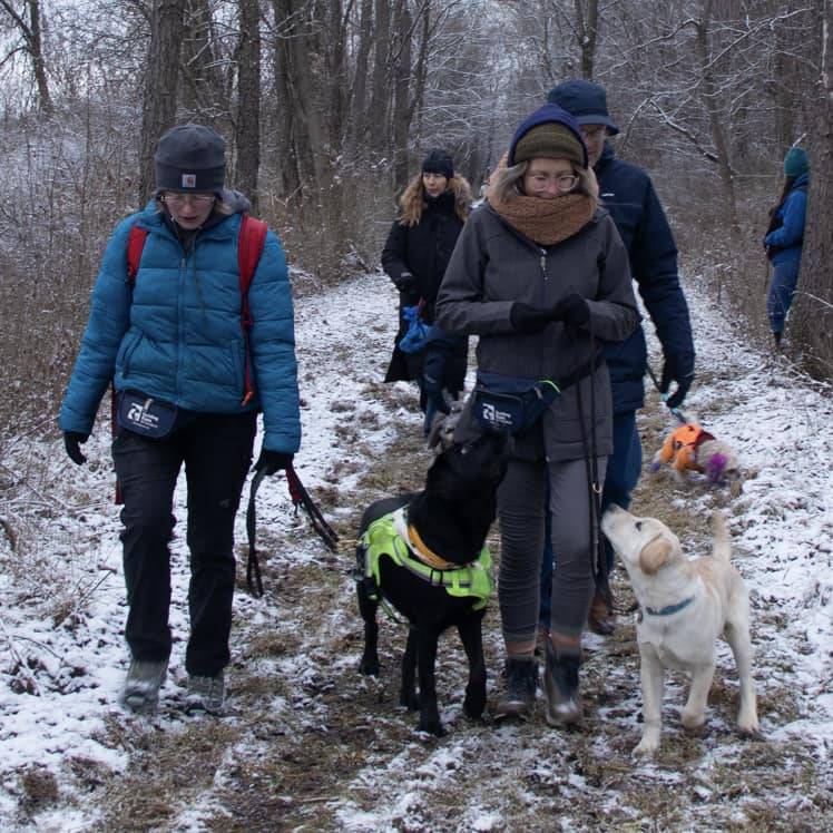 Darien Lakes State Park part of spots for First Day Hikes on New York ...