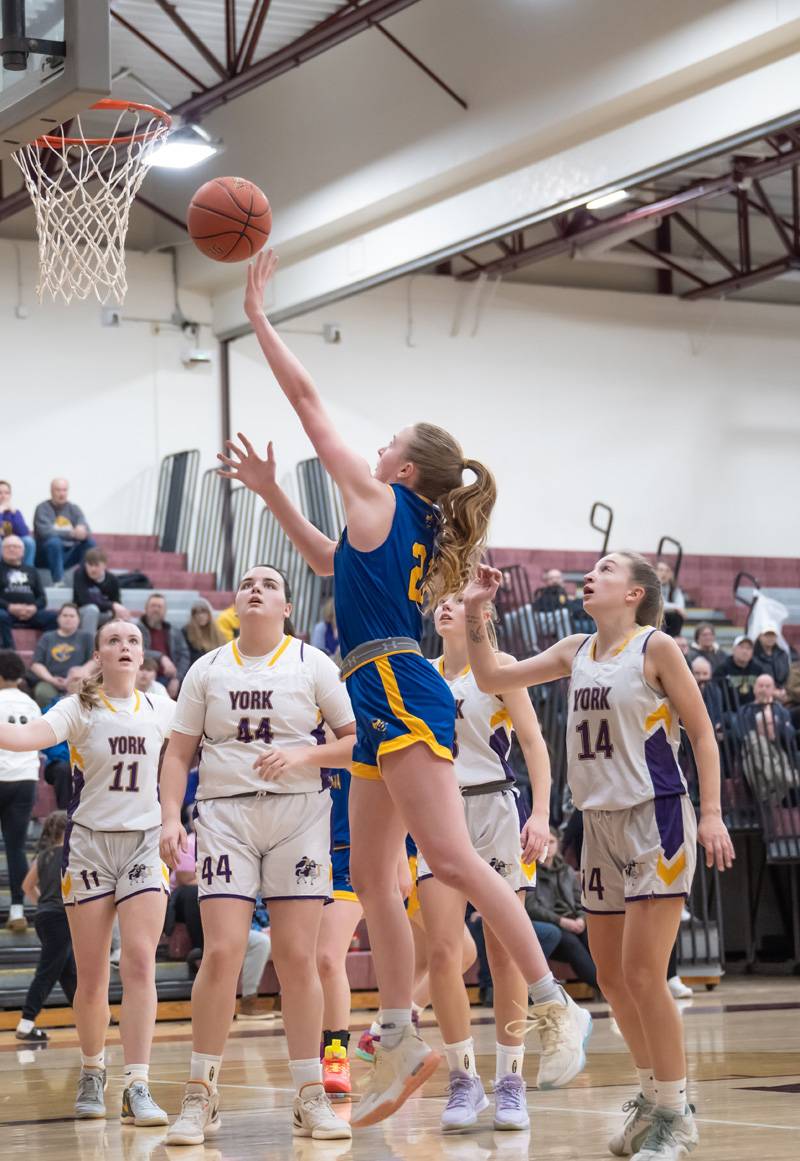 oakfield-alabama basketball