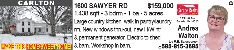 walton-1600-sawyer-rd-b1584033-batavian-1.png