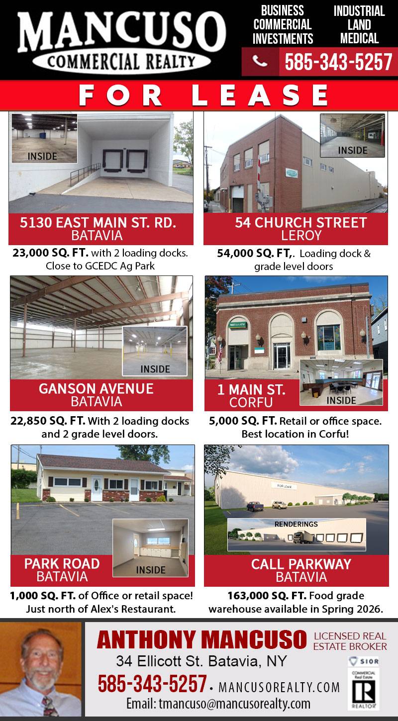 Mancuso Commercial Real Estate