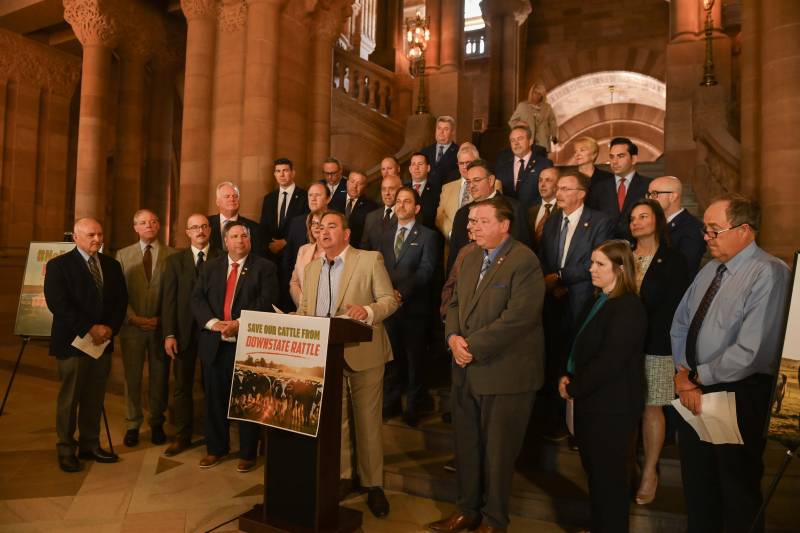 Borrello speaking about cow bill