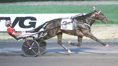 Discover Harness Racing: Sulky Racing History & Strategies